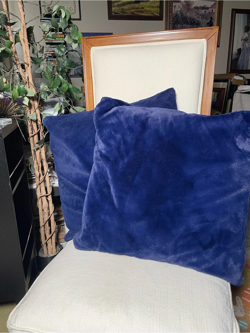 Royal Blue Velvety Soft 22” Throw Pillows - Set of 2